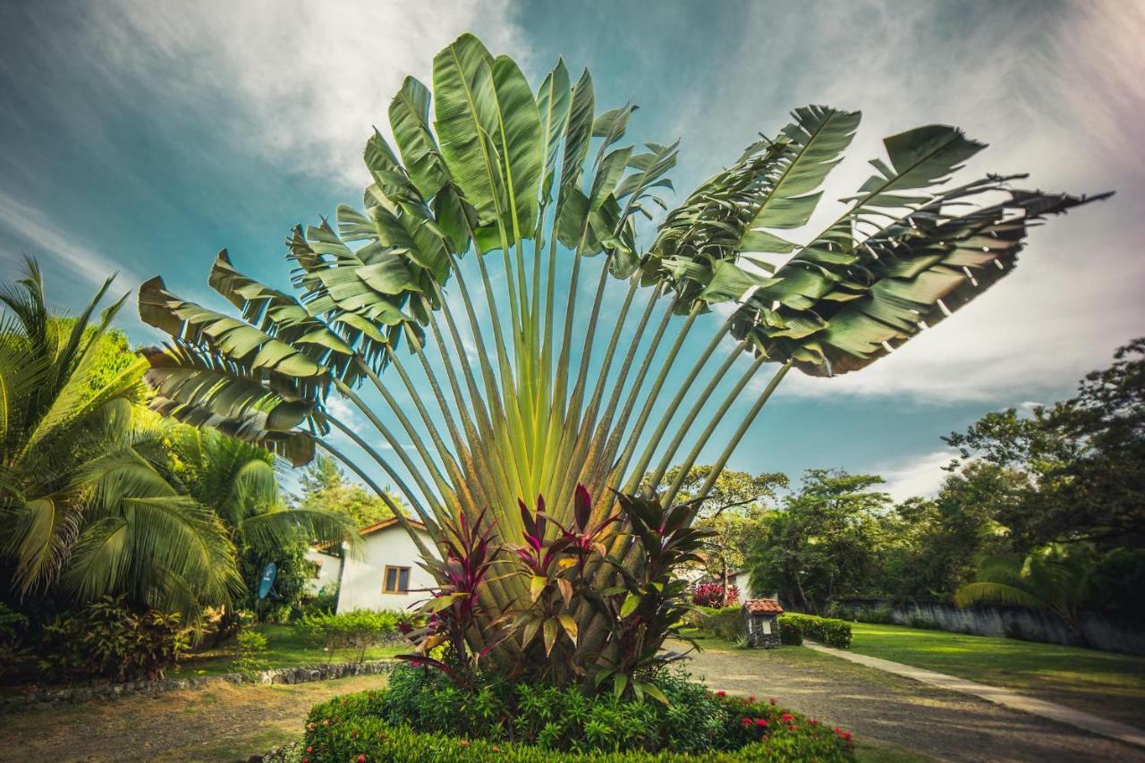 Hotel Santa Catalina Panama Zewnętrze zdjęcie